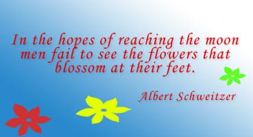 Albert Schweitzer's quote