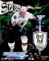 Brett Hull's quote