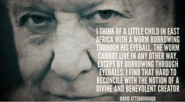 David Attenborough's quote