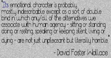 David Foster Wallace's quote