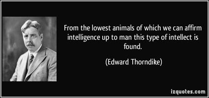 Edward Thorndike's quote