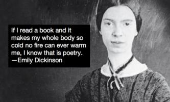 Emily Dickinson's quote