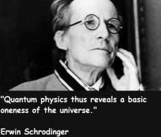 Erwin Schrodinger's quote