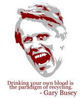 Gary Busey's quote