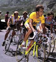 Greg LeMond's quote
