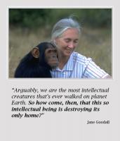 Jane Goodall's quote