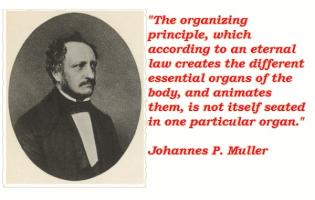 Johannes P. Muller's quote