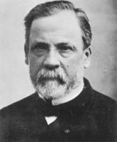 Louis Pasteur's quote