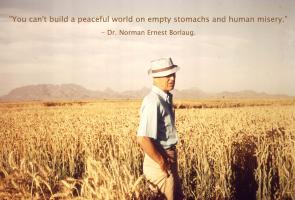 Norman Borlaug's quote