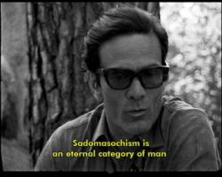 Pier Paolo Pasolini's quote