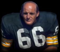 Ray Nitschke's quote