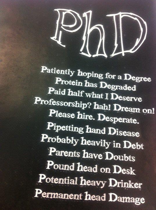 quotes about phd